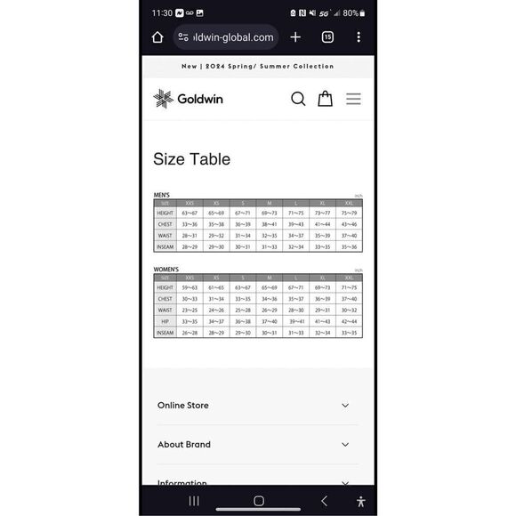 Goldwin Ski Pants Men’s Blue size M - Picture 15 of 15